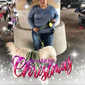 Meet your Posher, Annette